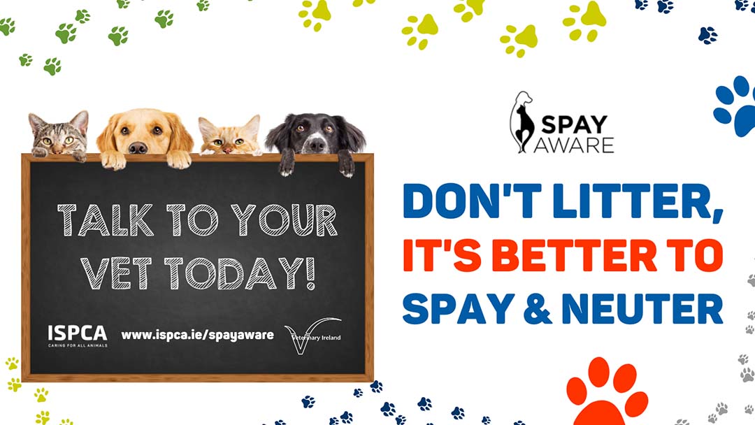 The ISPCA is urging pet owners to spay or neuter their pets as early as possible to reduce the high number of unwanted cats and dogs. The charity is asking the public to consider the positive benefits encouraging pet owners to talk to their vet as soon as possible.